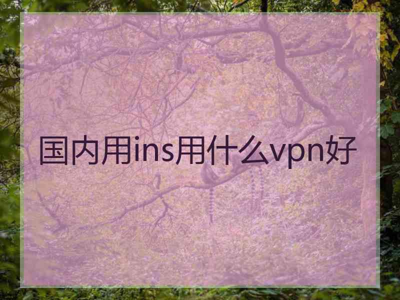 国内用ins用什么vpn好