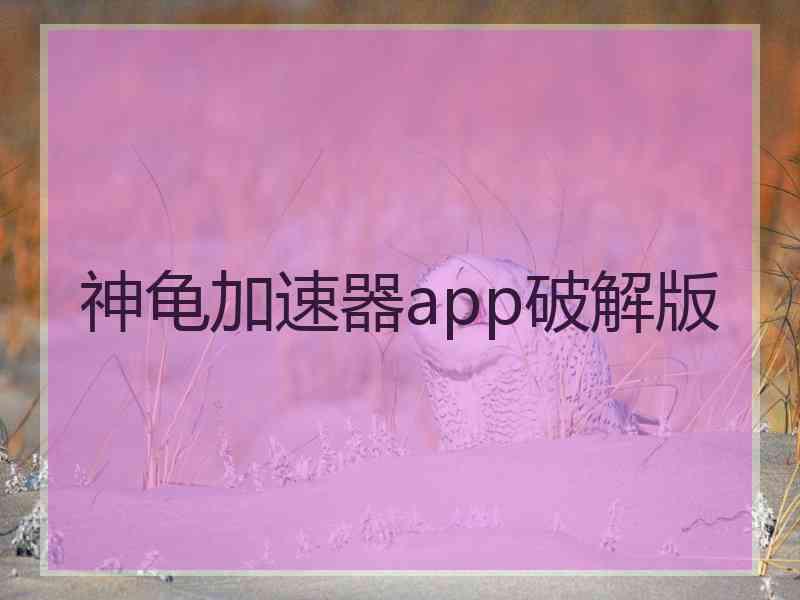 神龟加速器app破解版