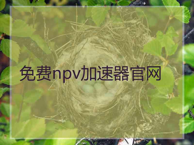 免费npv加速器官网