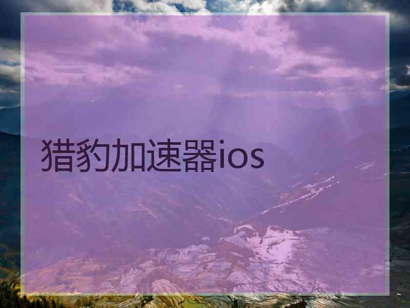 猎豹加速器ios