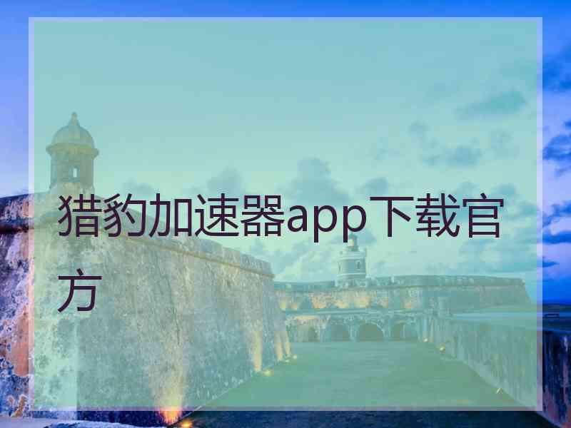 猎豹加速器app下载官方