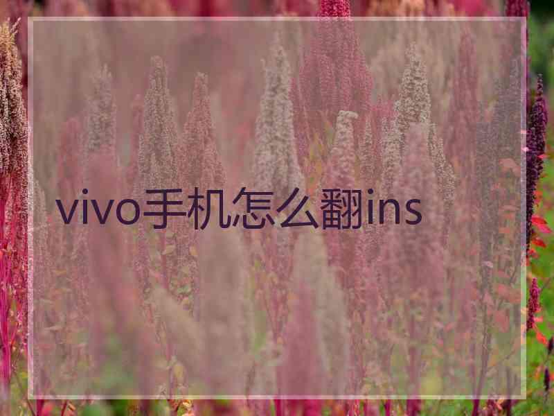 vivo手机怎么翻ins