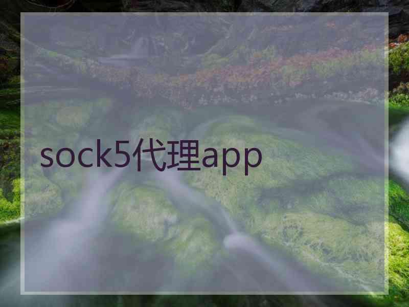 sock5代理app